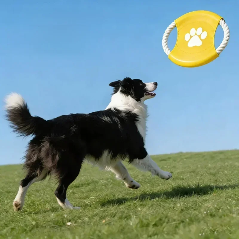 인터넷 유명인들이 사용하는 애완동물용 면사 로프 프리스 - Flying Disc Dog Training Toy 리뷰 및 가격