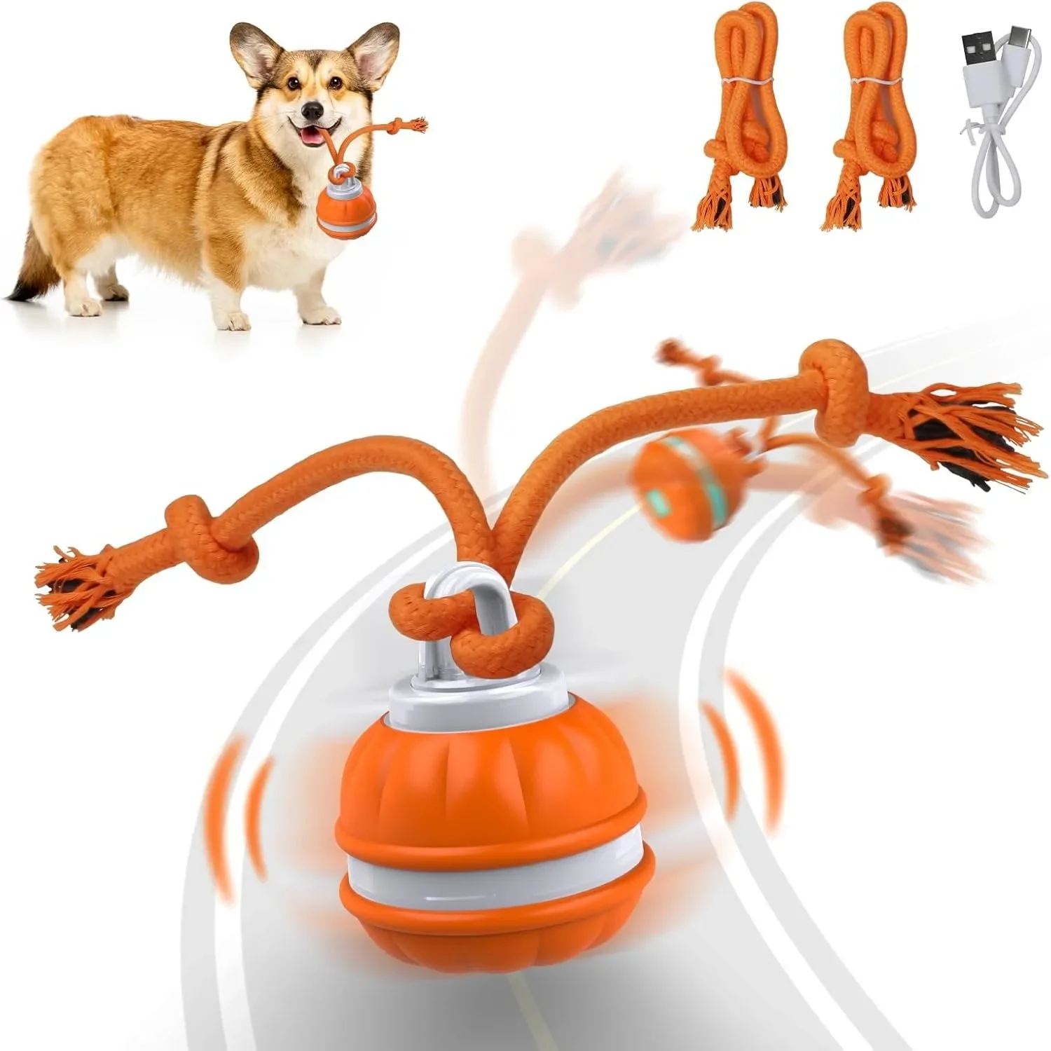 강아지용 인터랙티브 장난감, 움직임 감지 롤링 볼, 강 - Automatic Moving Dog Ball 리뷰 및 가격