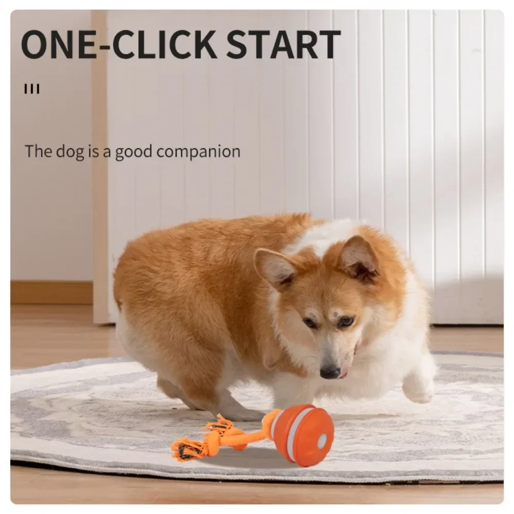 강아지용 인터랙티브 장난감, 움직임 감지 롤링 볼, 강 - Automatic Moving Dog Ball 리뷰 및 가격